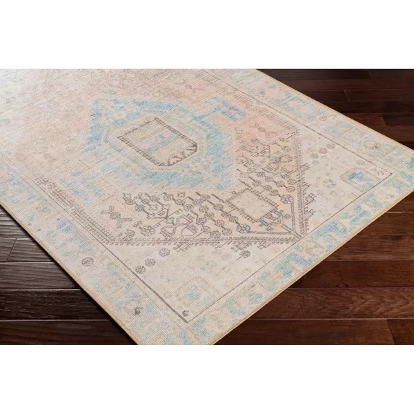 Livabliss Arias Vintage Washable Area Rug53quot x 7Coral
