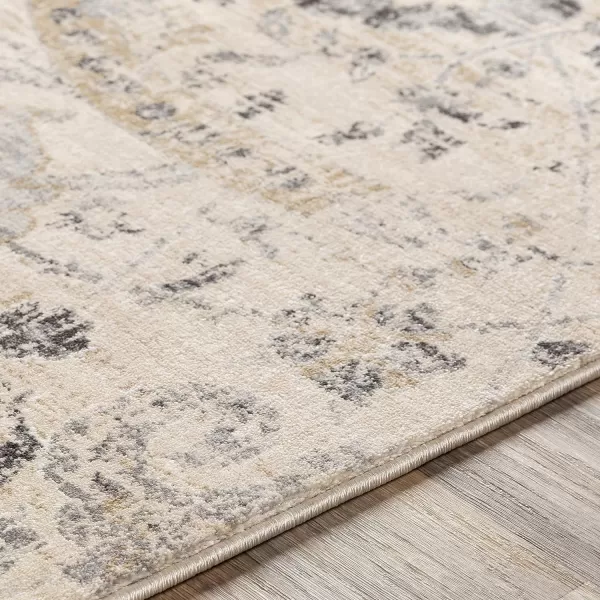 Inkeri Updated Traditional Area Rug53 x 73Light GrayBeige