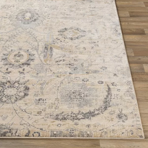 Inkeri Updated Traditional Area Rug53 x 73Light GrayBeige