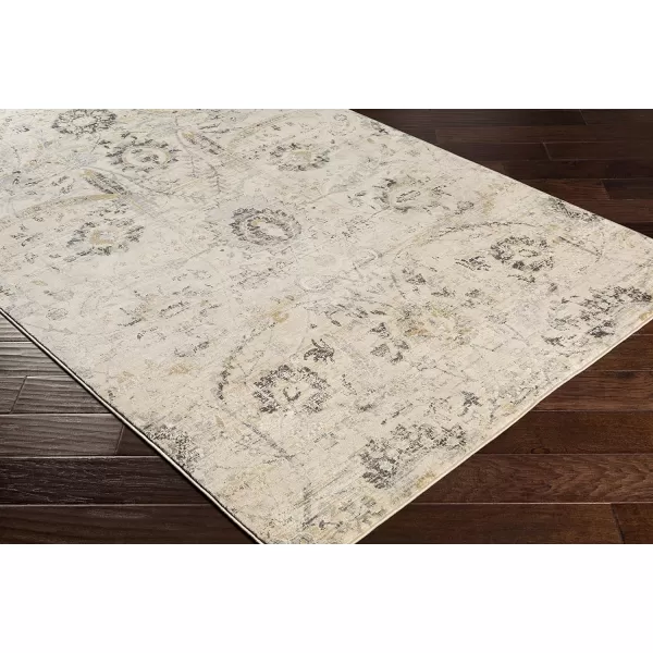 Inkeri Updated Traditional Area Rug53 x 73Light GrayBeige