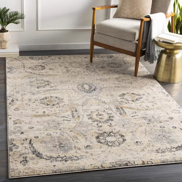 Inkeri Updated Traditional Area Rug53 x 73Light GrayBeige