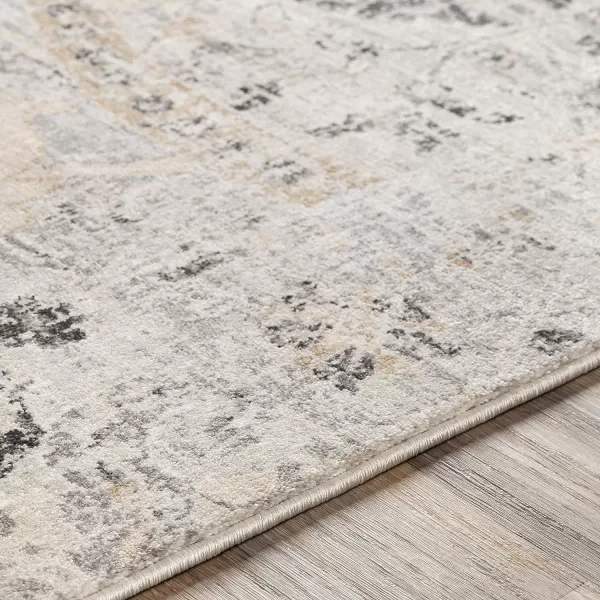 Inkeri Updated Traditional Area Rug53 x 73Light GrayLight Gray