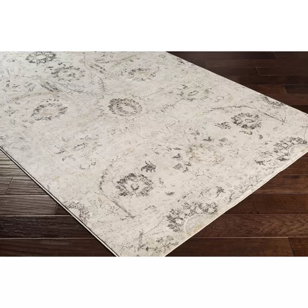 Inkeri Updated Traditional Area Rug53 x 73Light GrayLight Gray