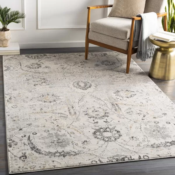 Inkeri Updated Traditional Area Rug53 x 73Light GrayLight Gray