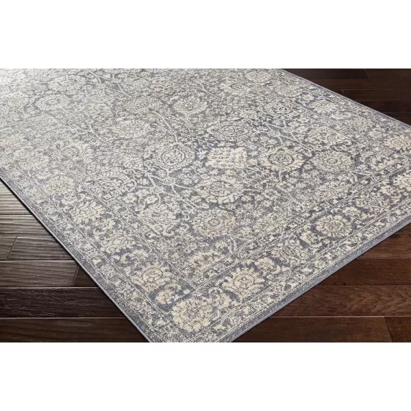 Livabliss Violeta Area Rug 53 x 73 BeigeBlue