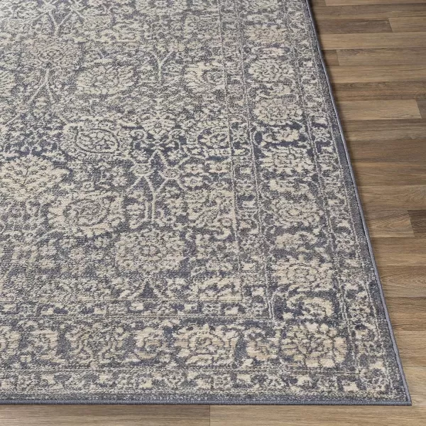 Livabliss Violeta Area Rug 53 x 73 BeigeBlue