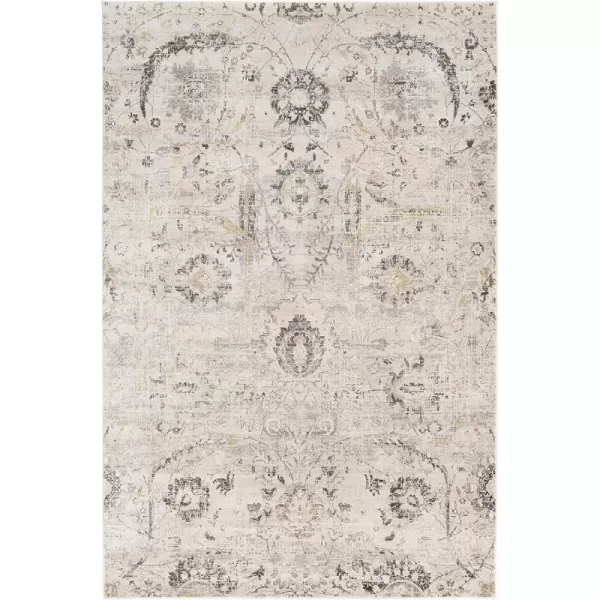 Inkeri Updated Traditional Area Rug53 x 73Light GrayLight Gray