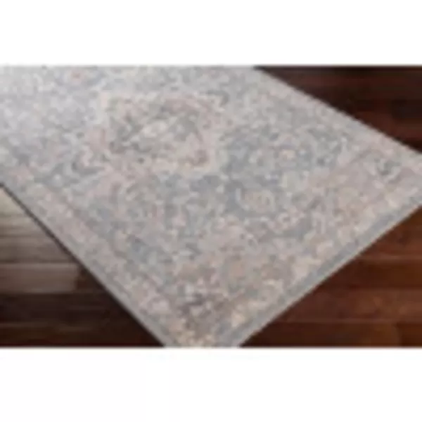 Artistic Weavers Angwin Vintage Floral Area Rug 5 x 79 CreamLight Blue