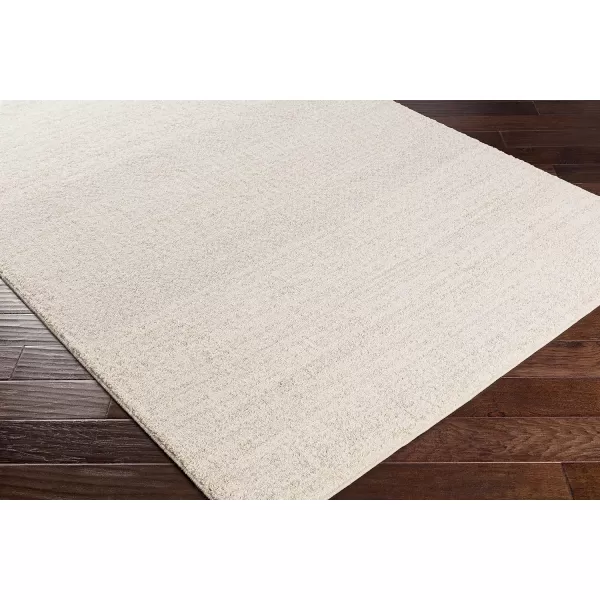 Anya Neutral and Gray Shag Area Rug 26 x 8Anya Neutral and Gray Shag Area Rug 26 x 8