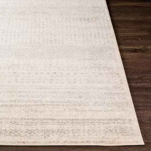 Anya Neutral and Gray Shag Area Rug 26 x 8Anya Neutral and Gray Shag Area Rug 26 x 8