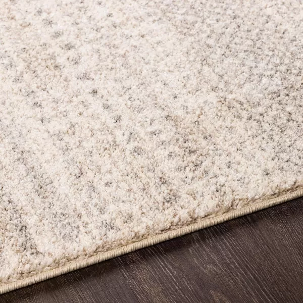 Anya Neutral and Gray Shag Area Rug 26 x 8Anya Neutral and Gray Shag Area Rug 26 x 8