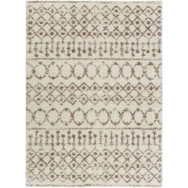 Artistic Weavers Anita Bohemian Shag Area Rug 53 x 73 CreamPale Pink53 x 73 Beige