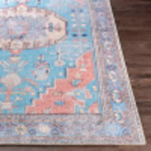 Artistic Weavers Antonia Vintage Oriental Area Rug 27 x 710 AquaOrange27 x 710 AquaOrange