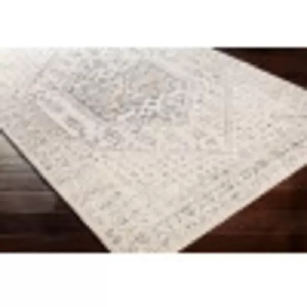 Artistic Weavers Archeron Vintage Medallion Area Rug 27 x 73 TaupeArtistic Weavers Archeron Vintage Medallion Area Rug 27 x 73 Taupe