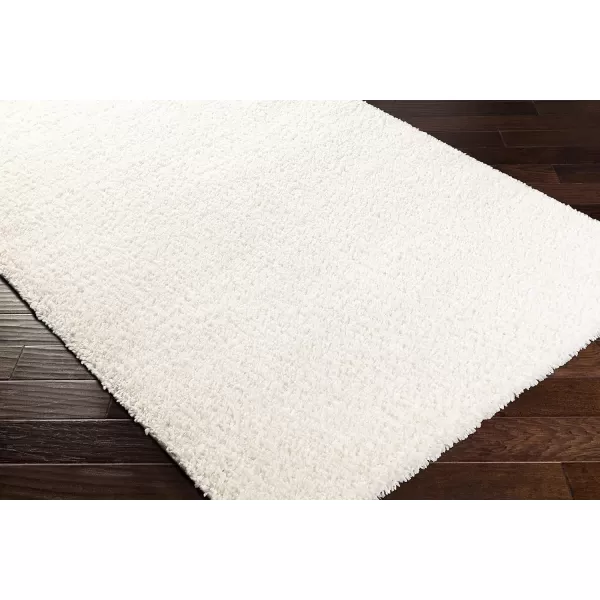 Artistic Weavers Area Rug 53 x 73 White2 x 3 White