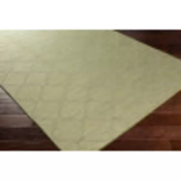 Artistic Weavers Ariane Outdoor Traditional Area Rug 51 x 7 Blue51 x 7 Lime