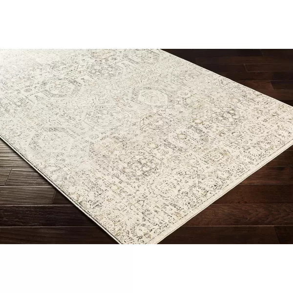 Artistic Weavers Aune Area Rug 53 x 73 Grey2 x 211 Grey