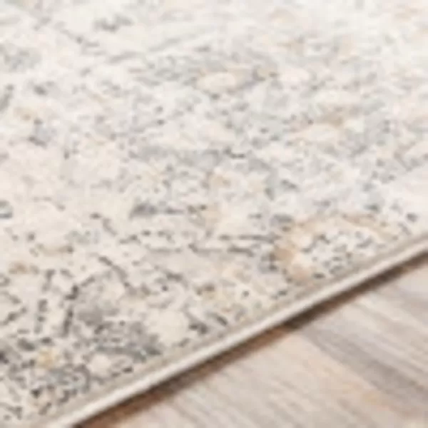 Artistic Weavers Aune Area Rug 53 x 73 Grey27 x 73 Grey