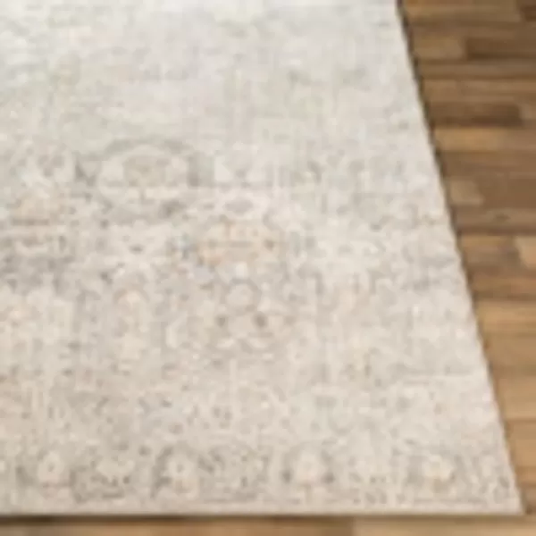 Artistic Weavers Aune Area Rug 53 x 73 Grey27 x 73 Grey