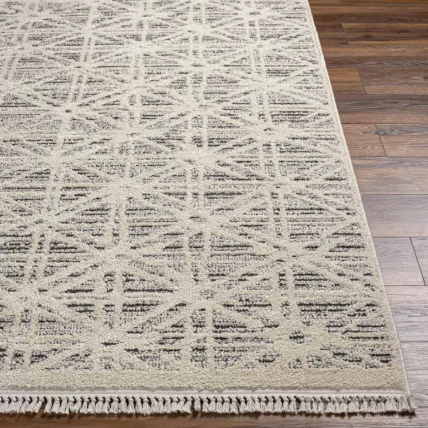 Artistic Weavers Berlin Bohemian Geometric Runner Area Rug27 x 73Light GreyArtistic Weavers Berlin Bohemian Geometric Runner Area Rug27 x 73Light Grey