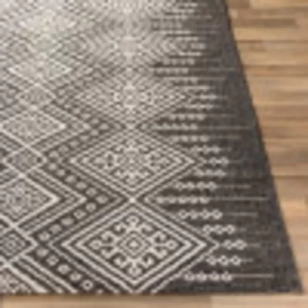 Artistic Weavers Birch Bohemian Outdoor Area Rug53 x 77Black2 x 211 Black