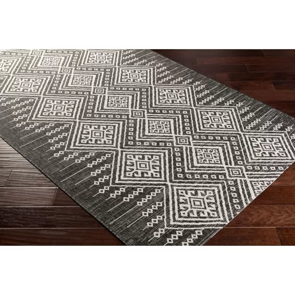 Artistic Weavers Birch Bohemian Outdoor Area Rug53 x 77Black2 x 211 Black