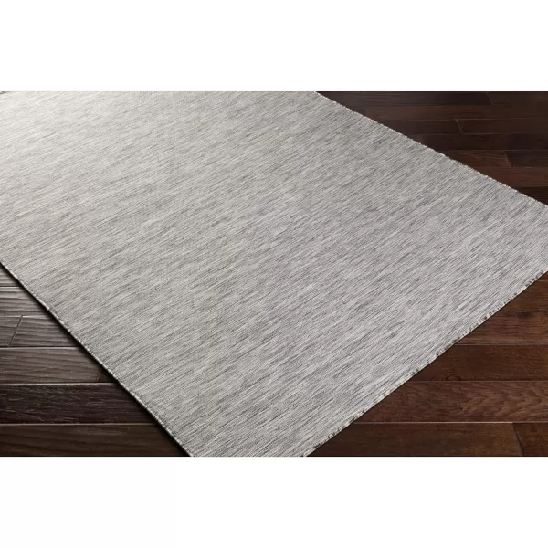 Artistic Weavers Birute Solid Outdoor Area Rug 53 x 73 Grey27 x 411 Grey