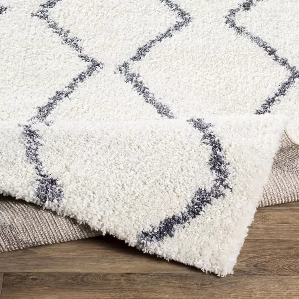 Artistic Weavers Blanka Area Rug 710 x 103 White2 x 3 White