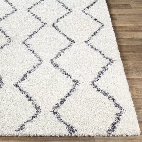 Artistic Weavers Blanka Area Rug 710 x 103 White2 x 3 White