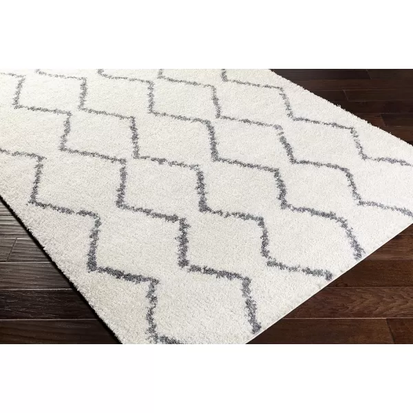 Artistic Weavers Blanka Area Rug 710 x 103 White2 x 3 White