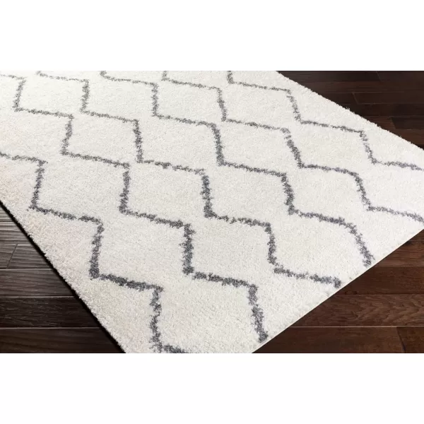 Artistic Weavers Blanka Area Rug 710 x 103 White53 x 73 White