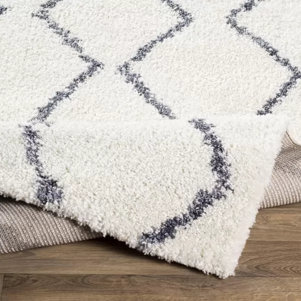 Artistic Weavers Blanka Area Rug 710 x 103 White53 x 73 White