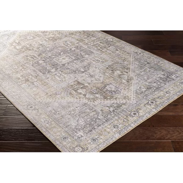 Artistic Weavers Bree Vintage Medallion Area Rug 5 x 76 Beige23 x 39 GoldCharcoal