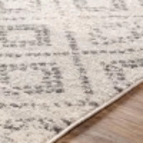 Artistic Weavers Candis Area Rug53 x 73Light GrayRectangular Light Gray 5 ft 3 in x 7 ft 3 in