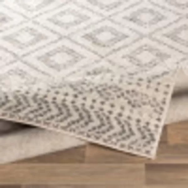 Artistic Weavers Candis Area Rug53 x 73Light GrayRectangular Light Gray 5 ft 3 in x 7 ft 3 in