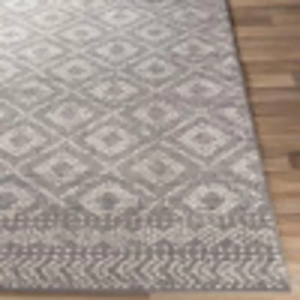 Artistic Weavers Candis Area Rug53 x 73Light GrayRectangular Medium Gray 7 ft 10 in x 10 ft 3 in