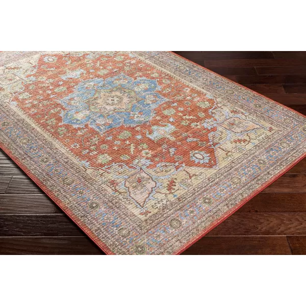 Artistic Weavers Chrysta Vintage Medallion Washable Runner Area Rug 27 x 73 Burnt Orange27 x 73