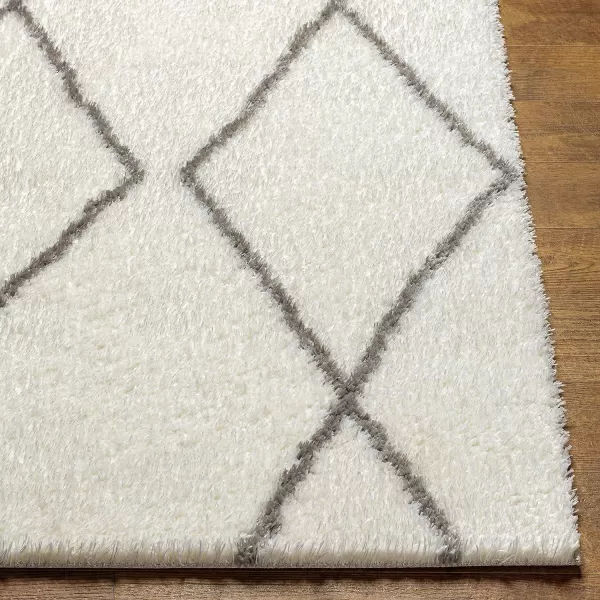 Artistic Weavers Cloudy Diamond Lattice Shag Area Rug53 x 7White53 x 7