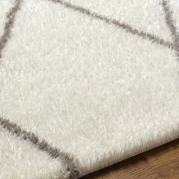 Artistic Weavers Cloudy Diamond Lattice Shag Area Rug53 x 7White53 x 7