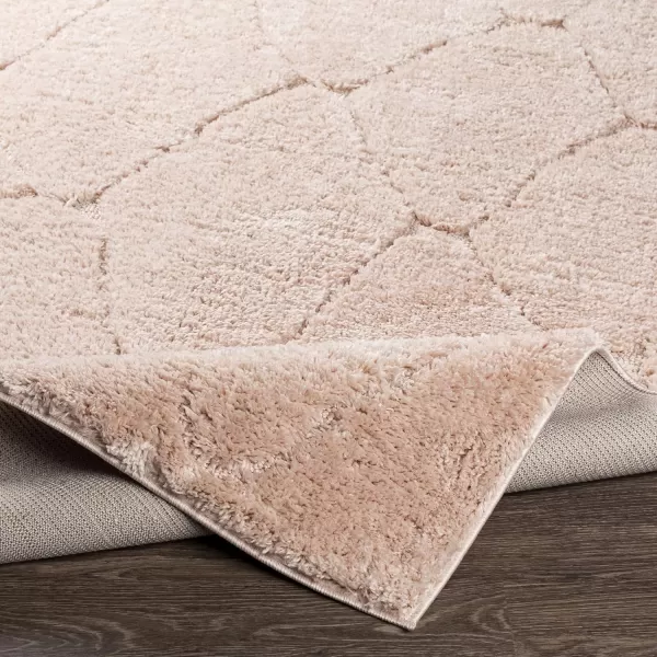 Artistic Weavers Coralie Modern Shag Area Rug 53 x 73 BlushArtistic Weavers Coralie Modern Shag Area Rug 53 x 73 Blush