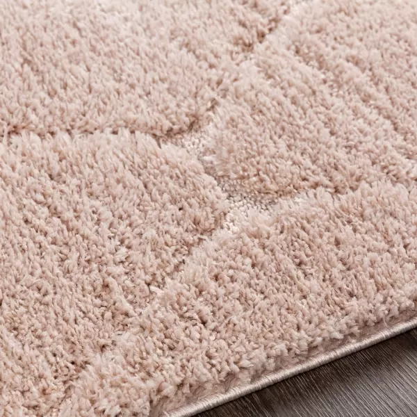 Artistic Weavers Coralie Modern Shag Area Rug 53 x 73 BlushArtistic Weavers Coralie Modern Shag Area Rug 53 x 73 Blush