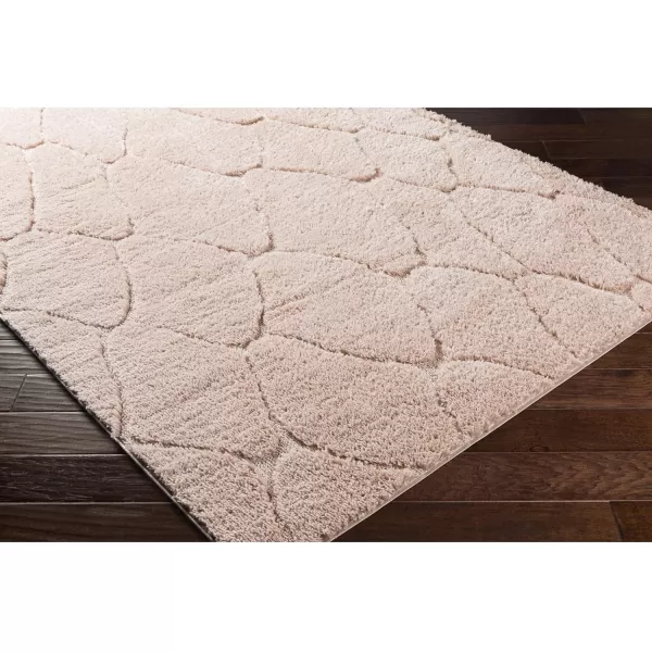 Artistic Weavers Coralie Modern Shag Area Rug 53 x 73 BlushArtistic Weavers Coralie Modern Shag Area Rug 53 x 73 Blush