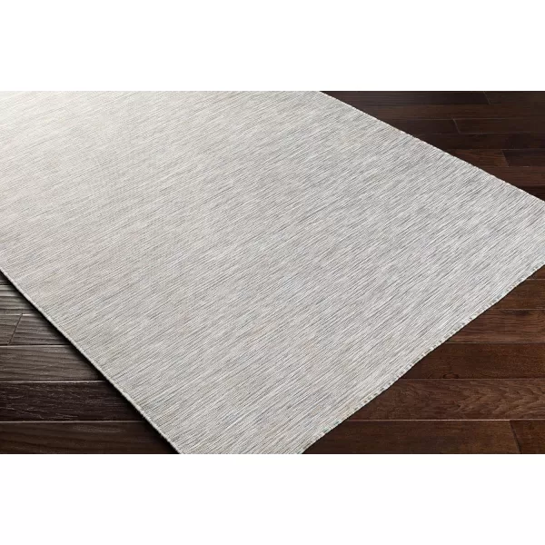 Artistic Weavers Daina Solid Outdoor Area Rug 53 x 73 Sage53 x 73 Sage