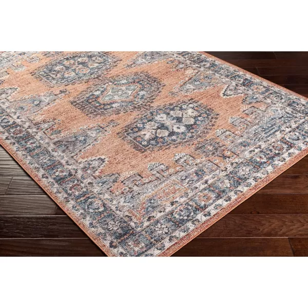 Artistic Weavers Daytona Beach Vintage Outdoor Area Rug53 x 7Blue53 x 7 Burnt Orange