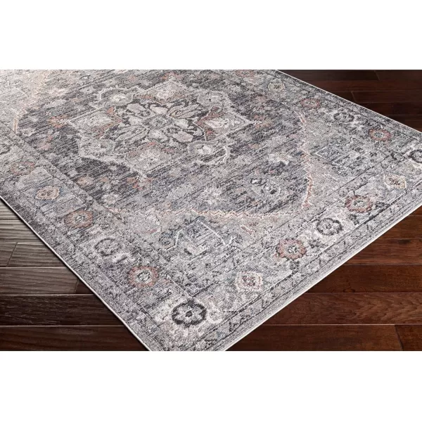 Artistic Weavers Daytona Beach Vintage Outdoor Area Rug53 x 7Gray53 x 7