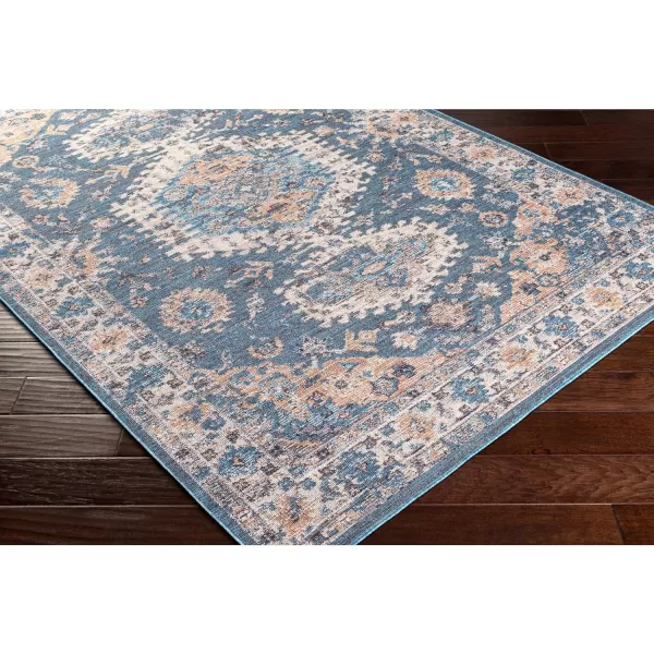 Artistic Weavers Daytona Beach Vintage Outdoor Area Rug53 x 7Red53 x 7 Blue