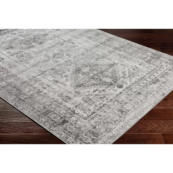 Artistic Weavers Desta Vintage Oriental Area Rug67 SquareBlueWhite10 x 14 Charcoal