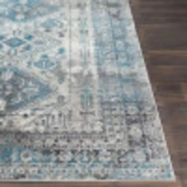 Artistic Weavers Desta Vintage Oriental Area Rug67 SquareBlueWhite311 x 57 BlueGrey