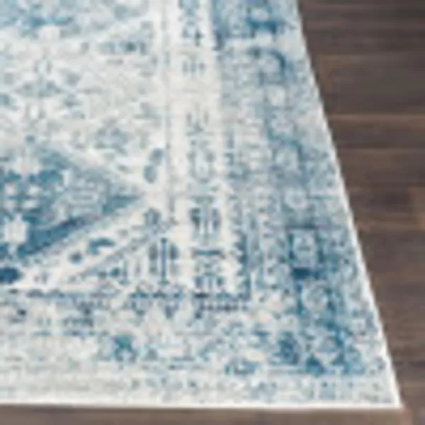 Artistic Weavers Desta Vintage Oriental Area Rug67 SquareBlueWhite311 x 57 BlueWhite