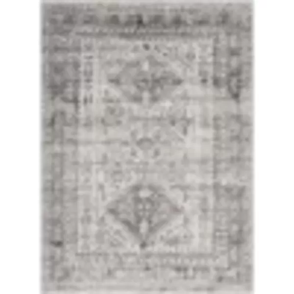 Artistic Weavers Desta Vintage Oriental Area Rug67 SquareBlueWhite311 x 57 Charcoal